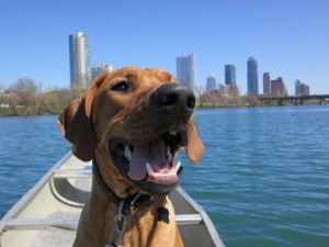 yappy hour austin